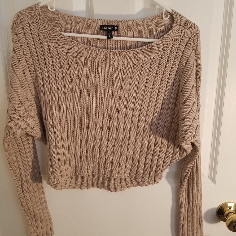 Cropped Express Sweater NWOT
